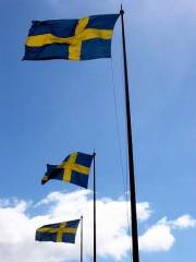 008_swedish_flag.jpg