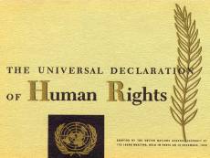 029_Human_Rights_SM.jpg