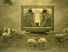 Sheeple2.jpg