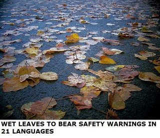 leafy.jpg