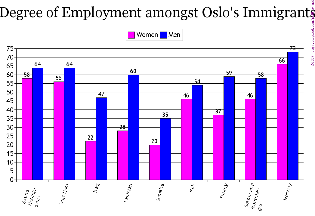 Degree of Employment amongst Oslo's Immigrants, 2007
